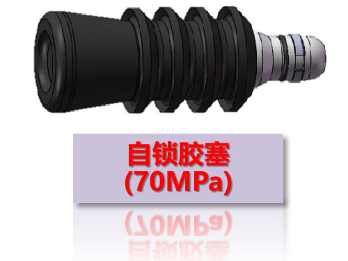 自鎖膠塞 (70MPa)